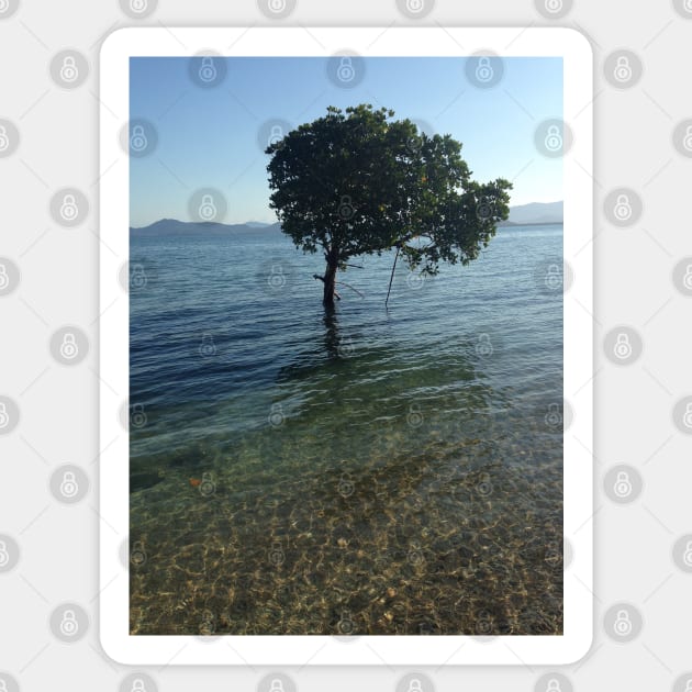 Tree in the reef Sticker by SkyeElizabeth